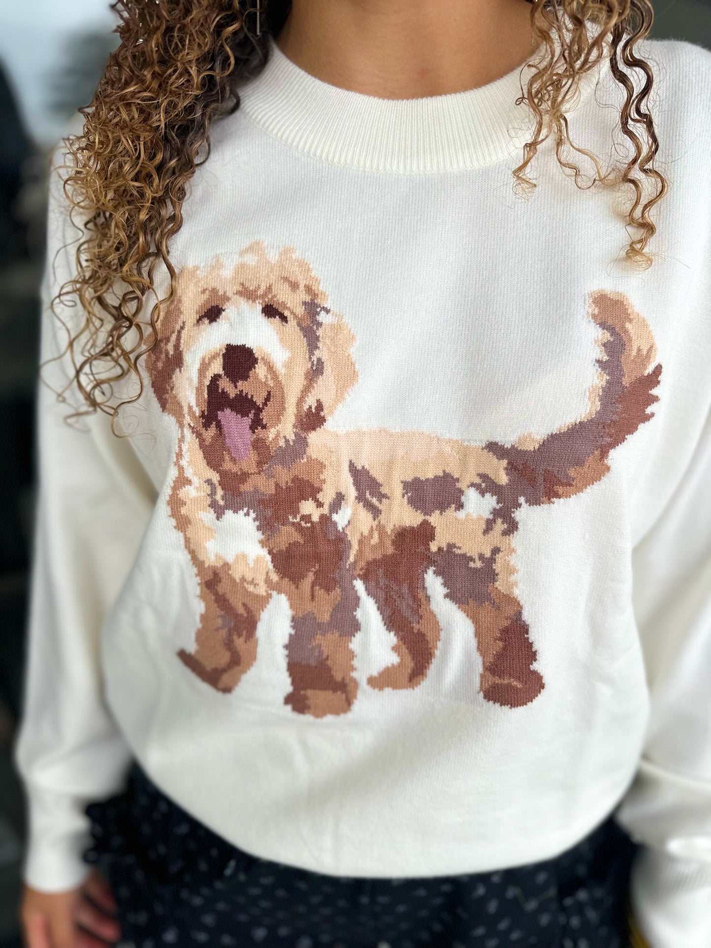 Doodle Sweater