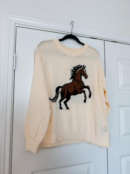 Giddy Up Sweater