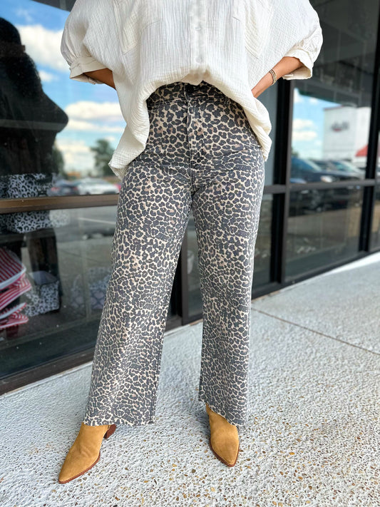 Leopard Dreams