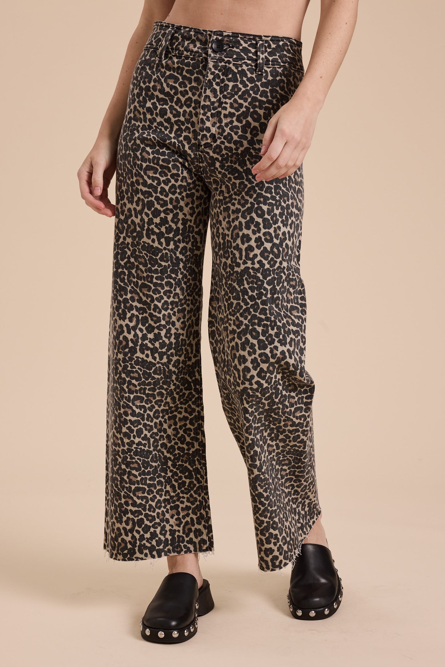Leopard Dreams