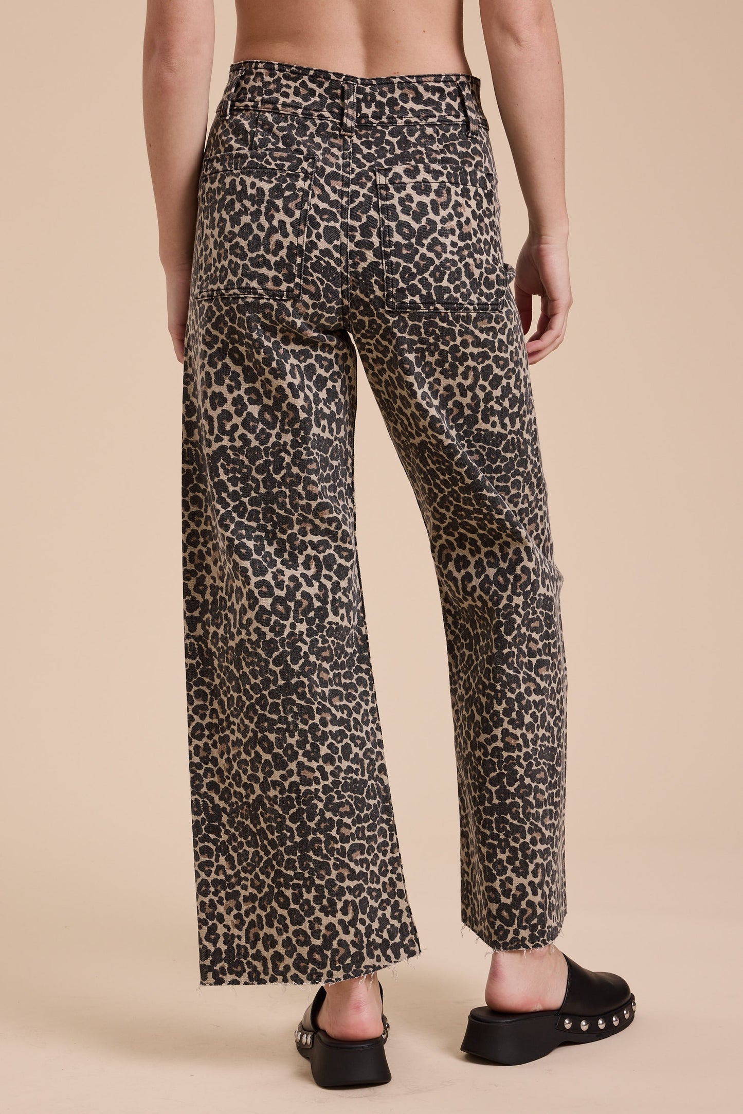 Leopard Dreams