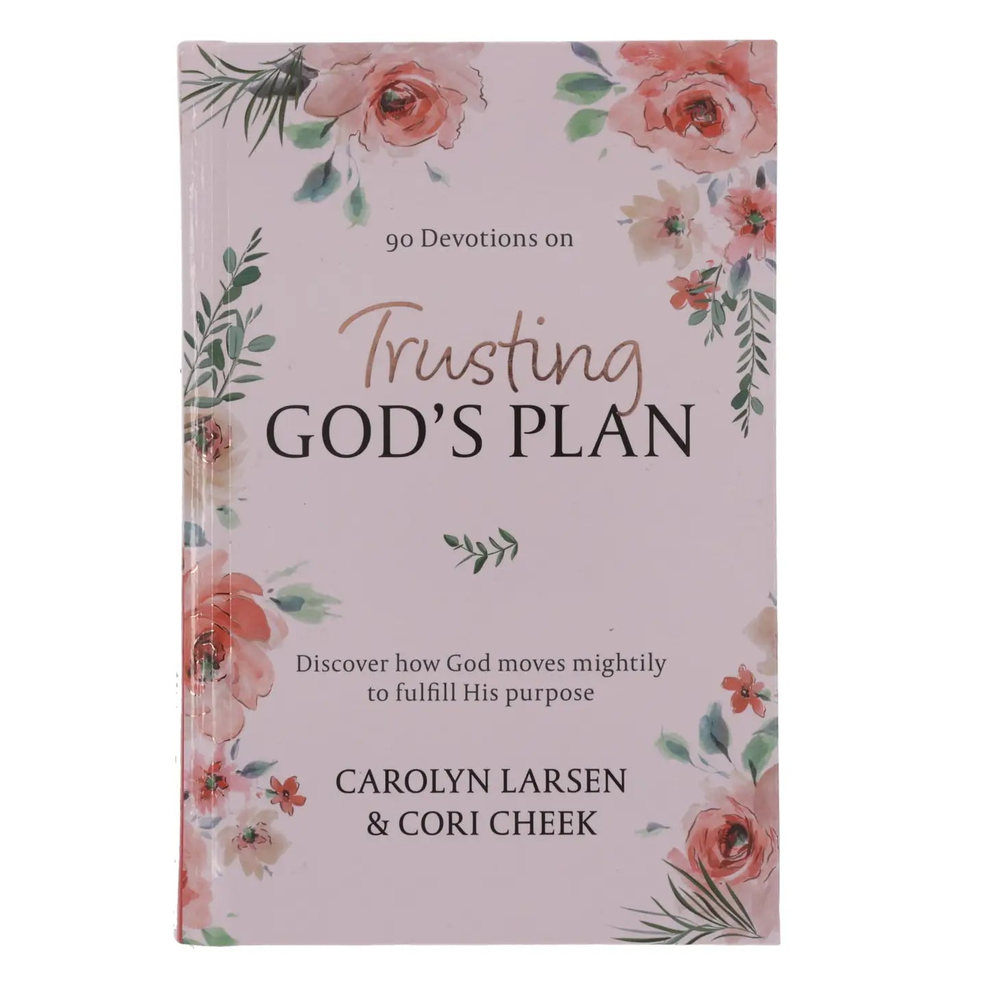 Trusting God’s Plan