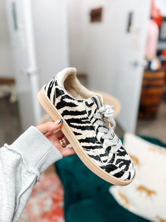 Roma Zebra