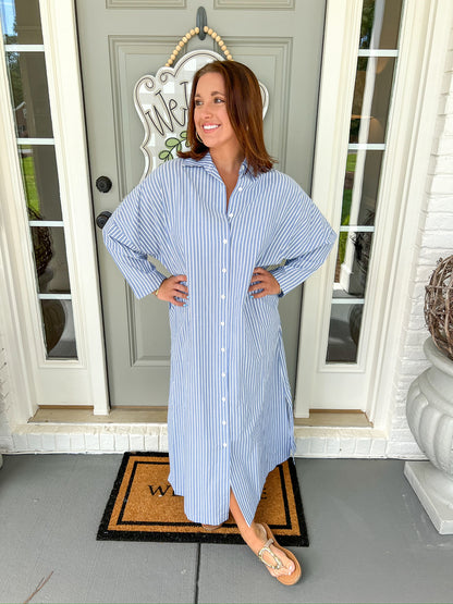 Regan Denim Stripe Dress