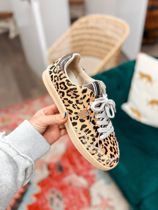 Roma Leopard