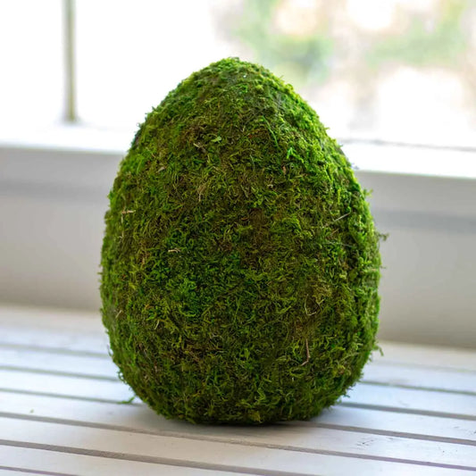 Moss Egg Decor