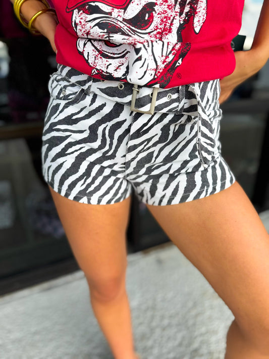 Zebra Cutie Shorts