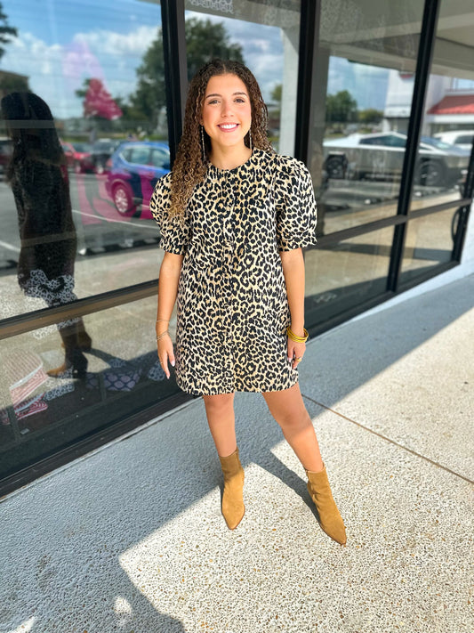 Classy Leopard Mini