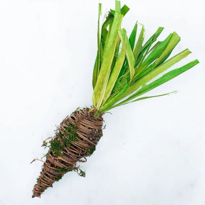 Willow Carrot Decor