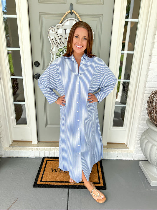 Regan Denim Stripe Dress