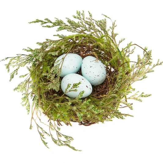 Robin Egg Nest