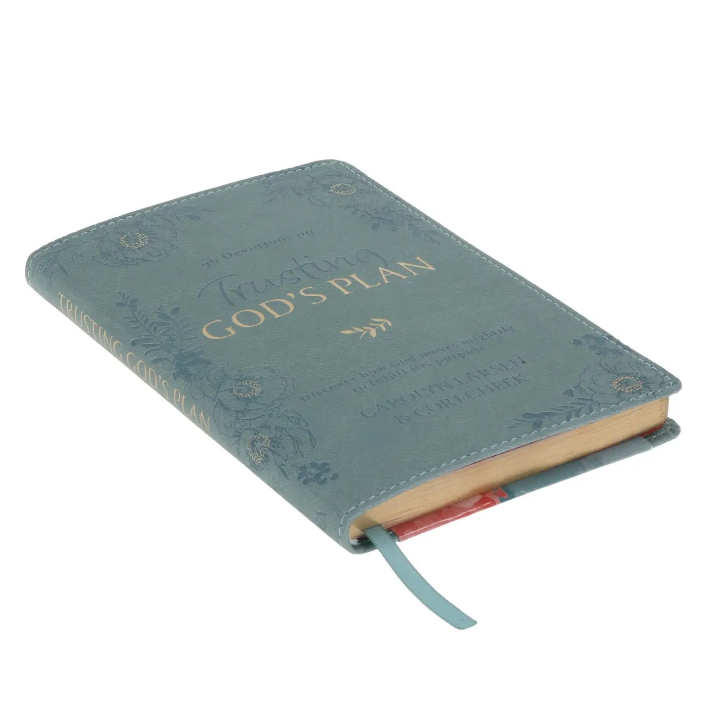 Devotional Trusting God’s Plan
