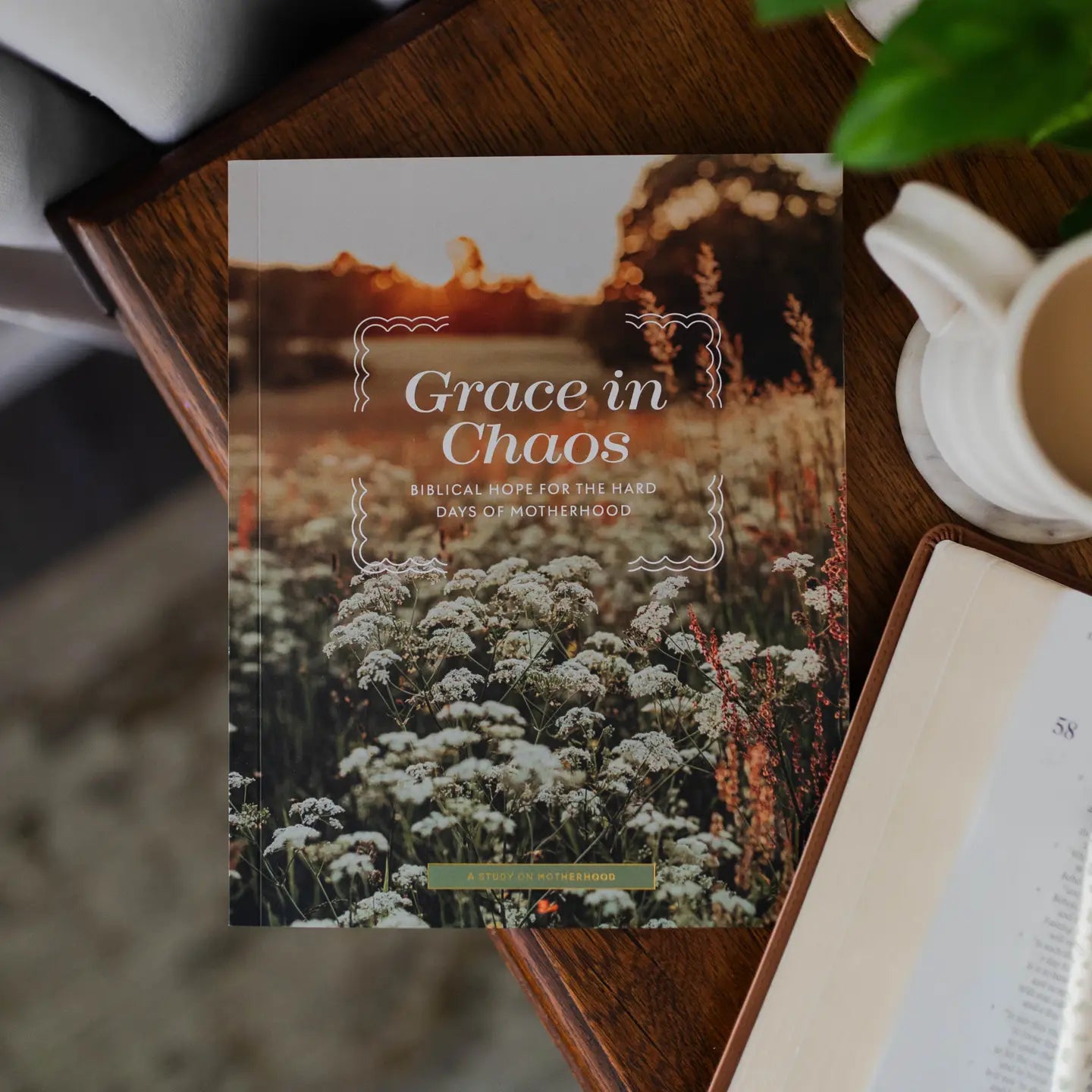 Grace in Chaos | Biblical Hope For The Hard Days of Motherhood