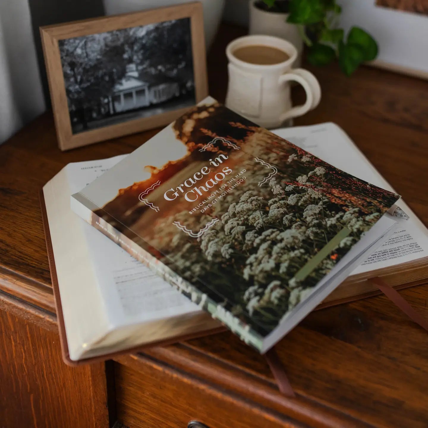 Grace in Chaos | Biblical Hope For The Hard Days of Motherhood
