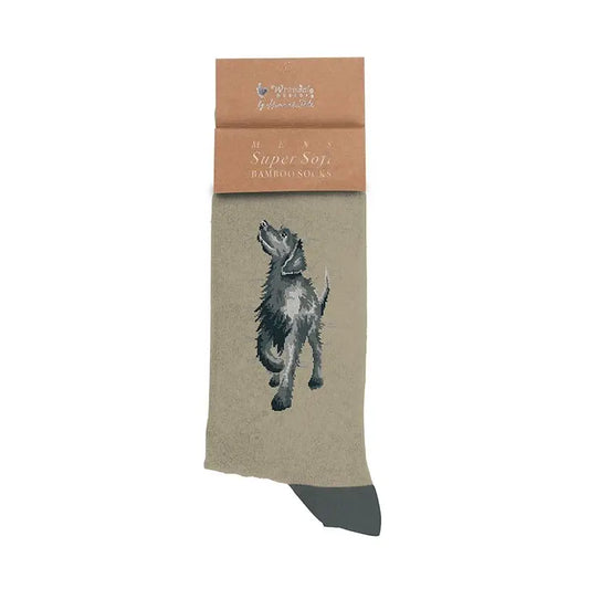 Black Labrador Men's Sock - Walkies