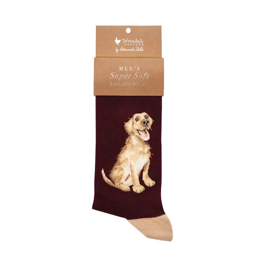 Golden Labrador Men's Socks - Good As Gold